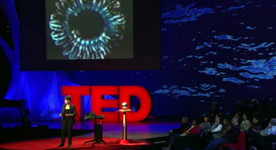 TED Talk Edith Widder