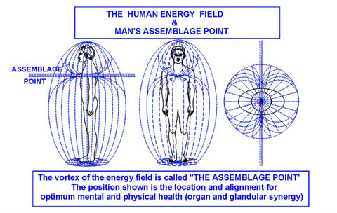 The Human Assemblage Point and Energy Field